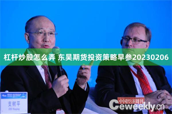 杠杆炒股怎么弄 东吴期货投资策略早参20230206