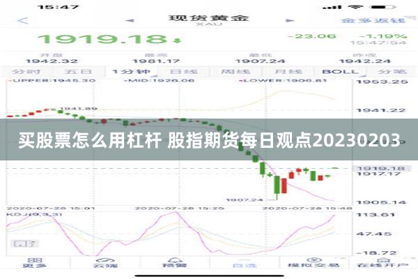 买股票怎么用杠杆 股指期货每日观点20230203