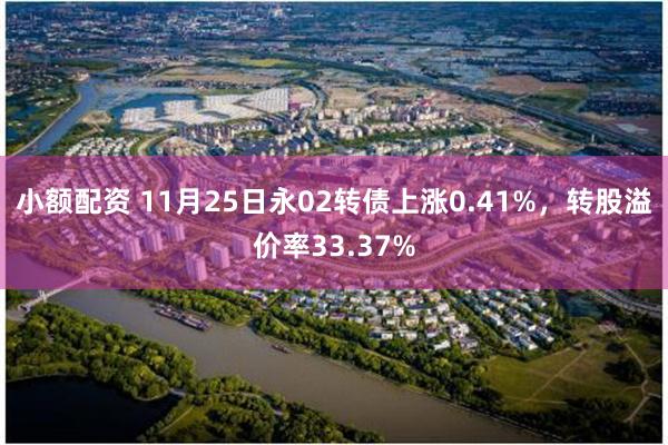 小额配资 11月25日永02转债上涨0.41%，转股溢价率33.37%