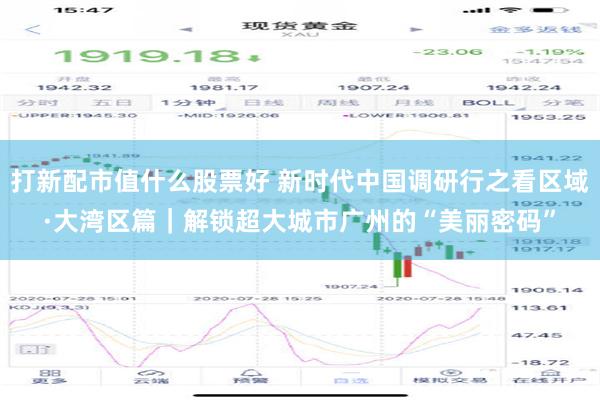 打新配市值什么股票好 新时代中国调研行之看区域·大湾区篇｜解锁超大城市广州的“美丽密码”