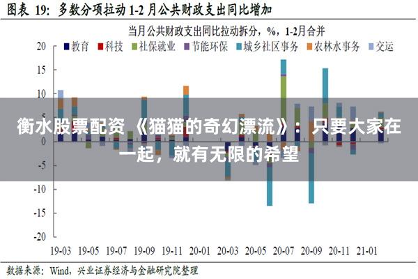 衡水股票配资 《猫猫的奇幻漂流》：只要大家在一起，就有无限的希望