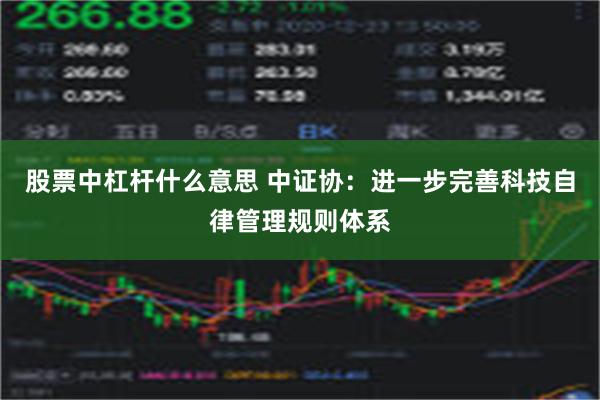 股票中杠杆什么意思 中证协：进一步完善科技自律管理规则体系