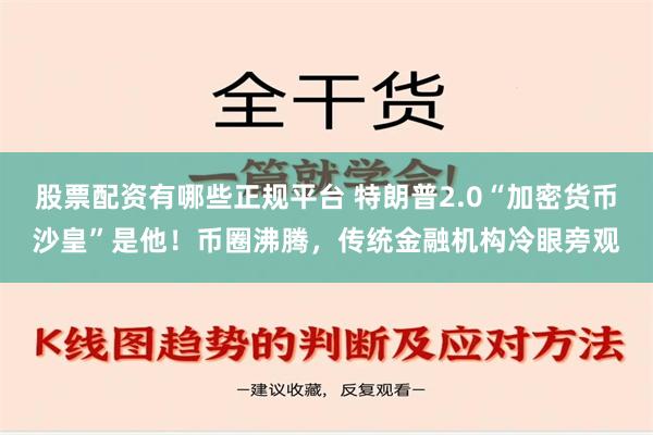 股票配资有哪些正规平台 特朗普2.0“加密货币沙皇”是他！币圈沸腾，传统金融机构冷眼旁观