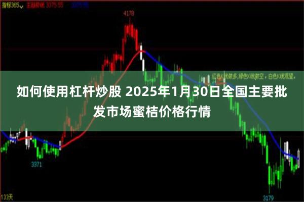 如何使用杠杆炒股 2025年1月30日全国主要批发市场蜜桔价格行情